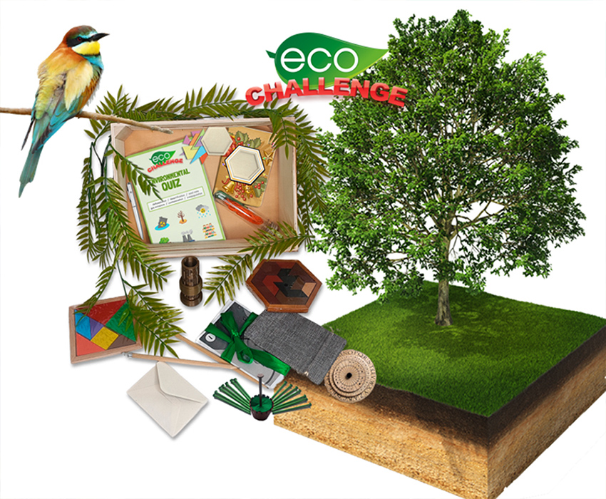 Actividades de Responsabilidad Social Corporativa Eco in a box