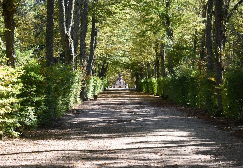 Actividad de Team building en La Granja San Ildefonso