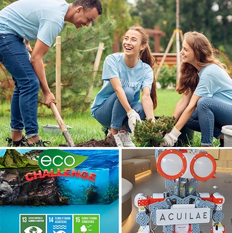 Actividades para empresas