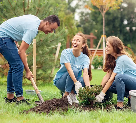 Voluntarios de empresa plantando un árbol en una actividad de RSC innovador