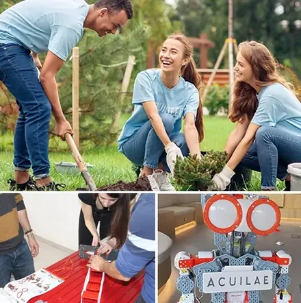 Equipo de empresa en una actividad solidaria